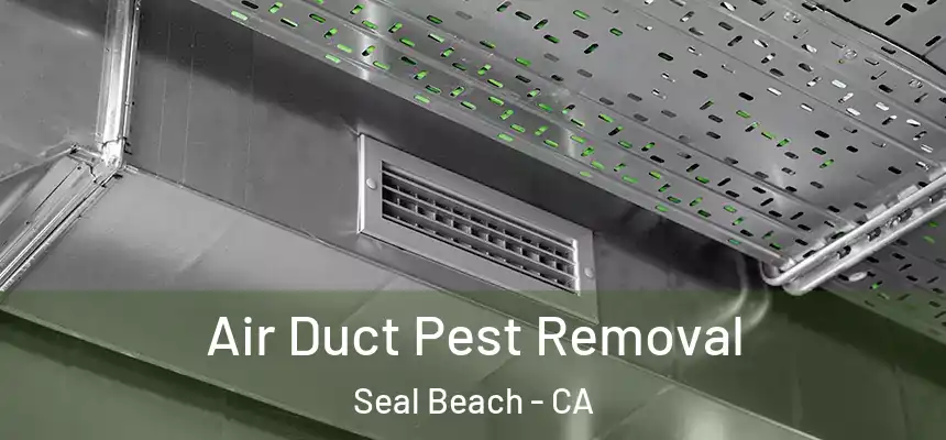  Air Duct Pest Removal Seal Beach - CA