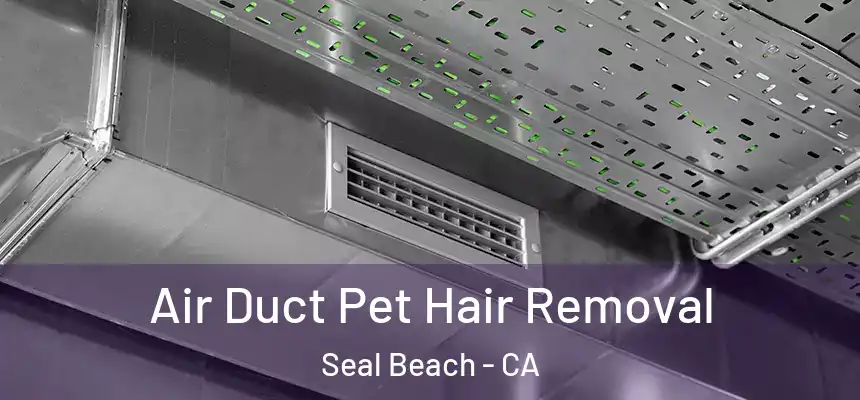  Air Duct Pet Hair Removal Seal Beach - CA