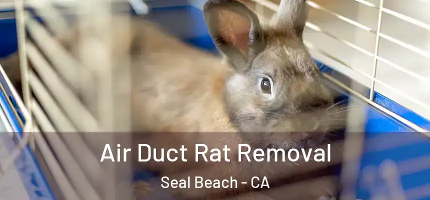  Air Duct Rat Removal Seal Beach - CA