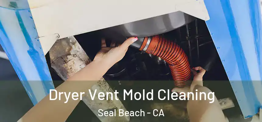 Dryer Vent Mold Cleaning Seal Beach - CA