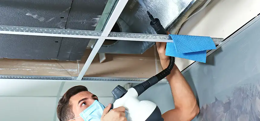 Our Air Duct Rodent Removal Services in Seal Beach, CA