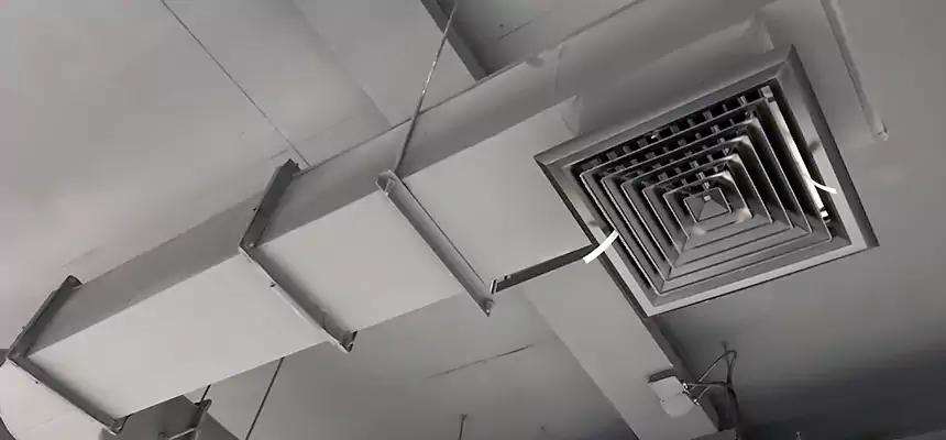 Our Pest Removal From Ducts Services in Seal Beach, CA