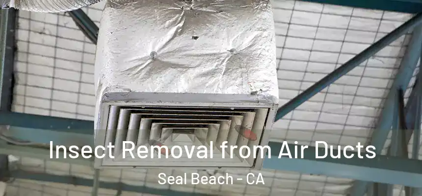  Insect Removal from Air Ducts Seal Beach - CA