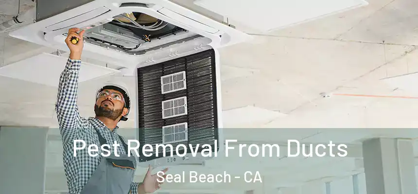  Pest Removal From Ducts Seal Beach - CA