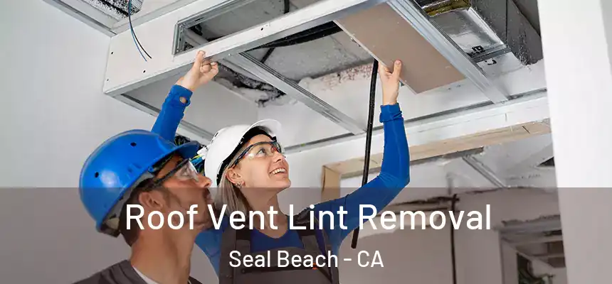 Roof Vent Lint Removal Seal Beach - CA