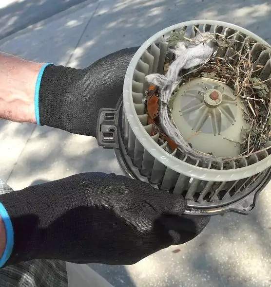 About Air Duct Rat Removal in Seal Beach, CA