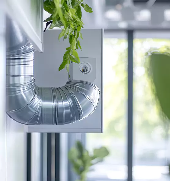 Professional Eco-Safe Dryer Vent Cleaning in Seal Beach, CA