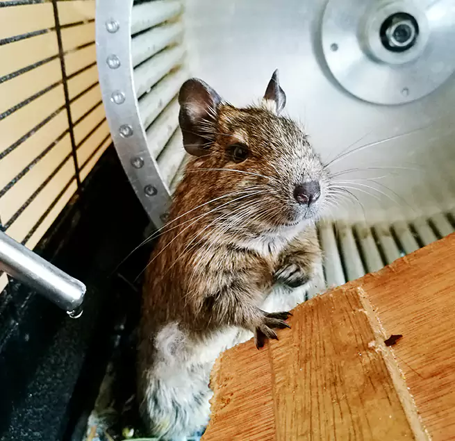 Why Homeowners & Businesses Trust Us Seal Beach, CA?