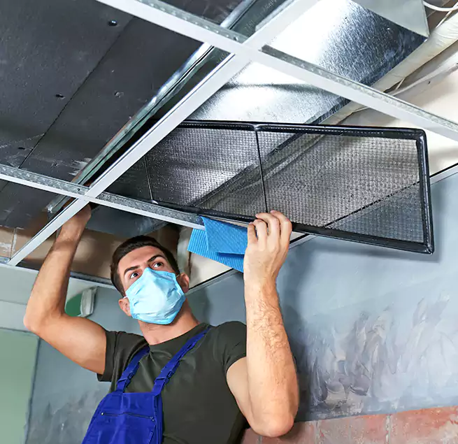 Why Homeowners Businesses Trust Us in Seal Beach, CA