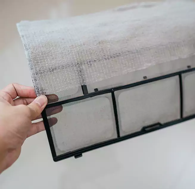 Why Homeowners & Businesses Trust Us in Seal Beach, CA?