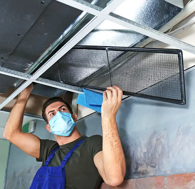 Why Homeowners & Businesses Trust Us in Seal Beach, CA?