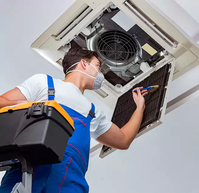 Why Homeowners & Businesses Trust Us in Seal Beach, CA?